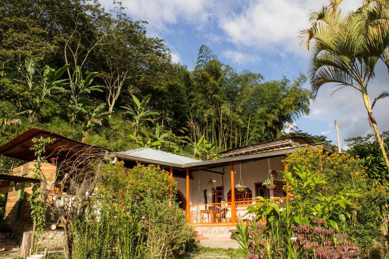 Habitacion Las Bromelias, Pijao, Finca Flora Del Rio Экстерьер фото