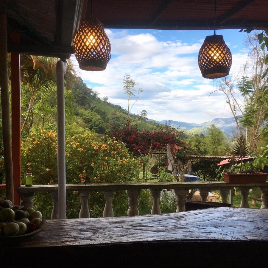 Habitacion Las Bromelias, Pijao, Finca Flora Del Rio Экстерьер фото